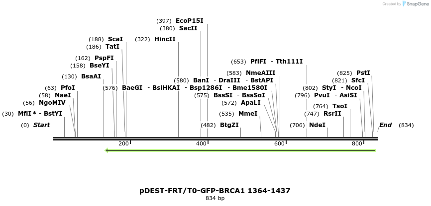 129618_map