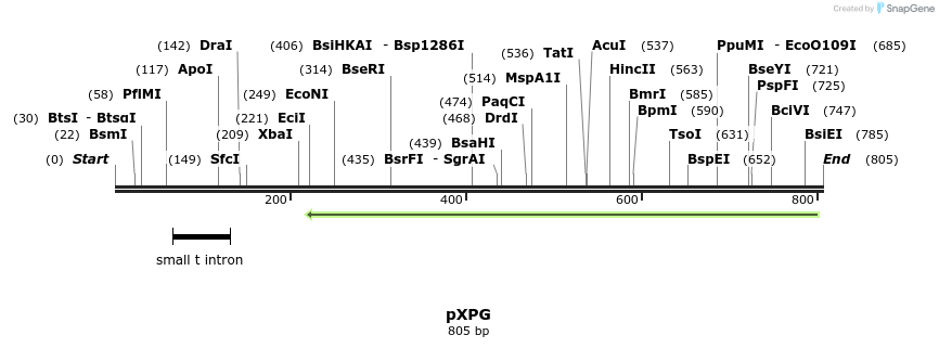 129629_map