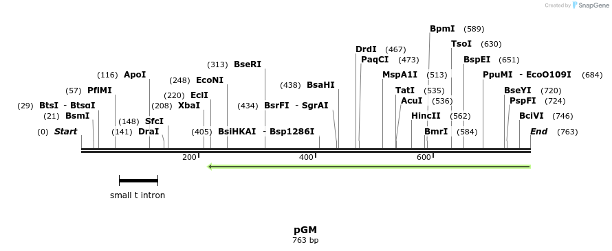 129639_map