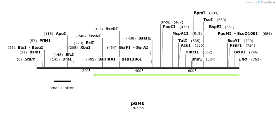 129650_map