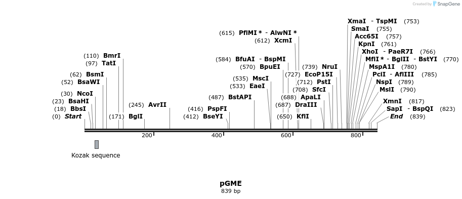 129651_map