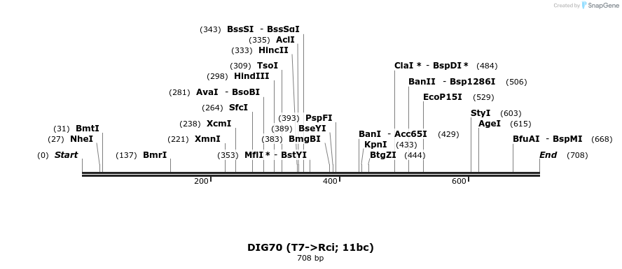 129663_map