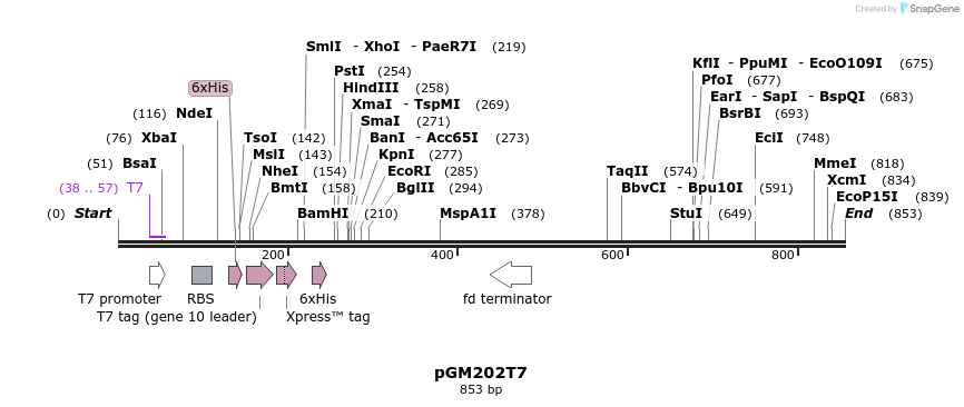 129664_map