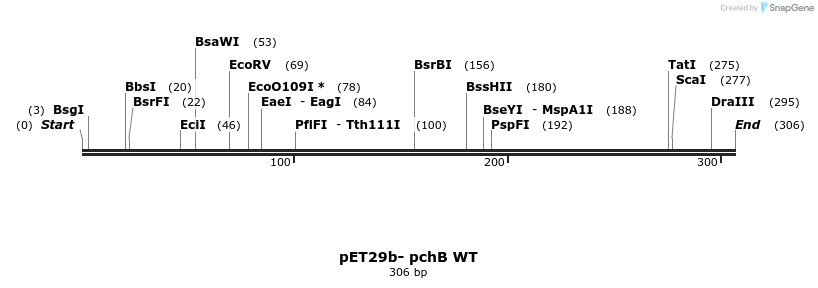 129668_map