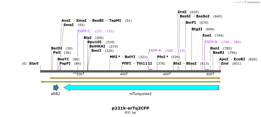 129679_map