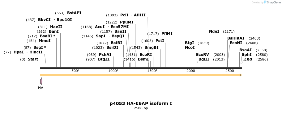 129680_map