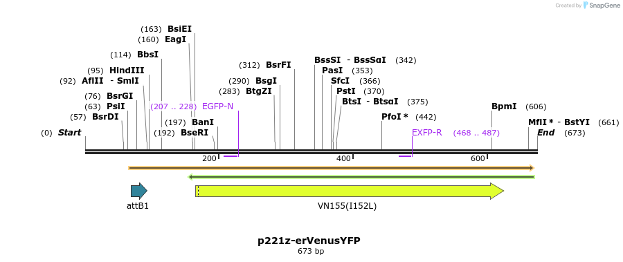 129681_map