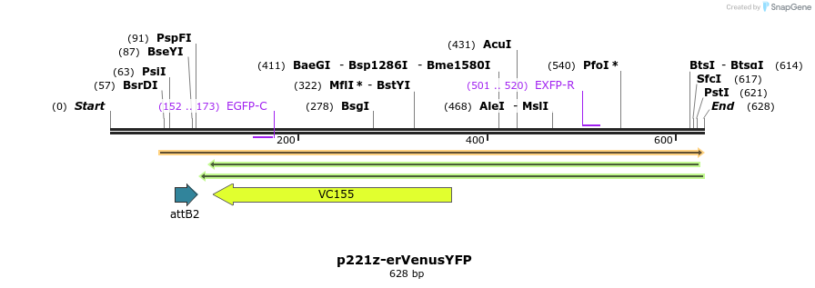 129682_map