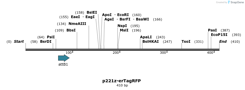 129685_map