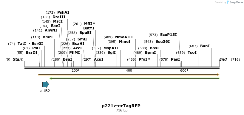 129686_map