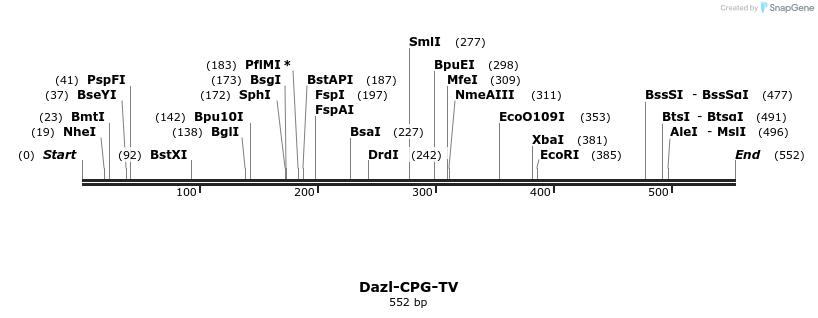 129687_map