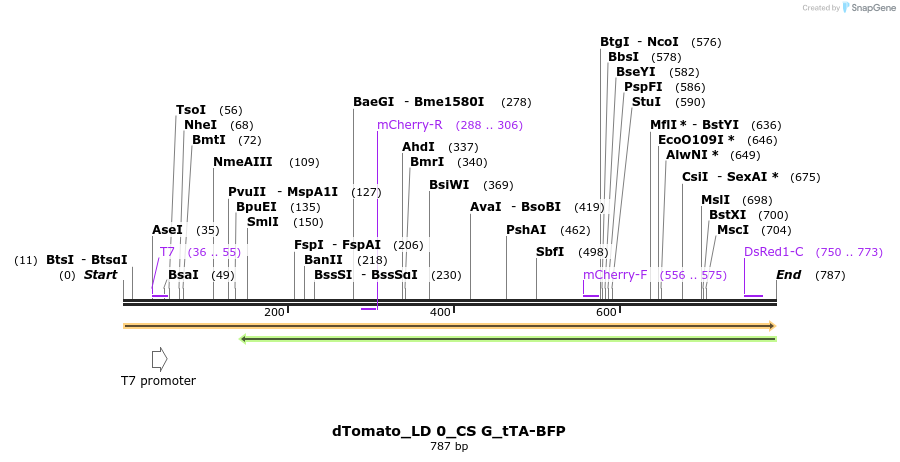 129690_map