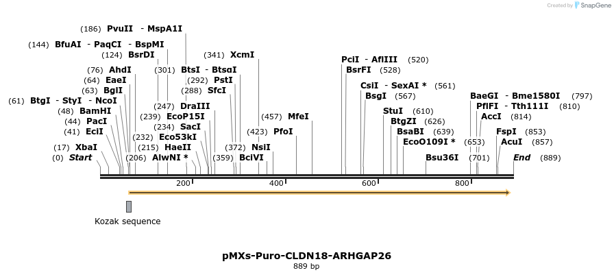 129696_map