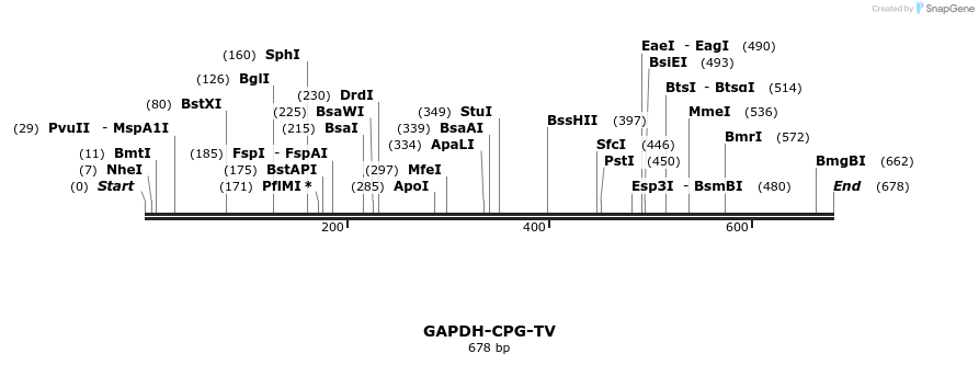 129698_map