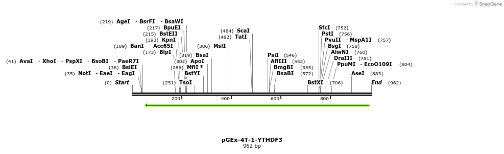 129701_map