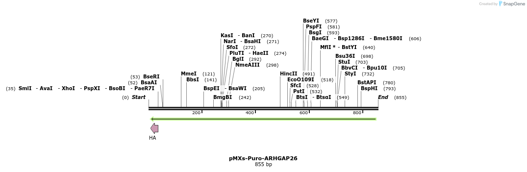 129703_map