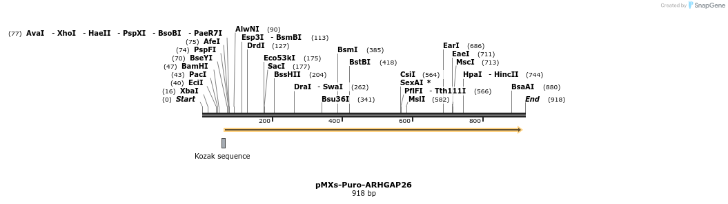 129704_map