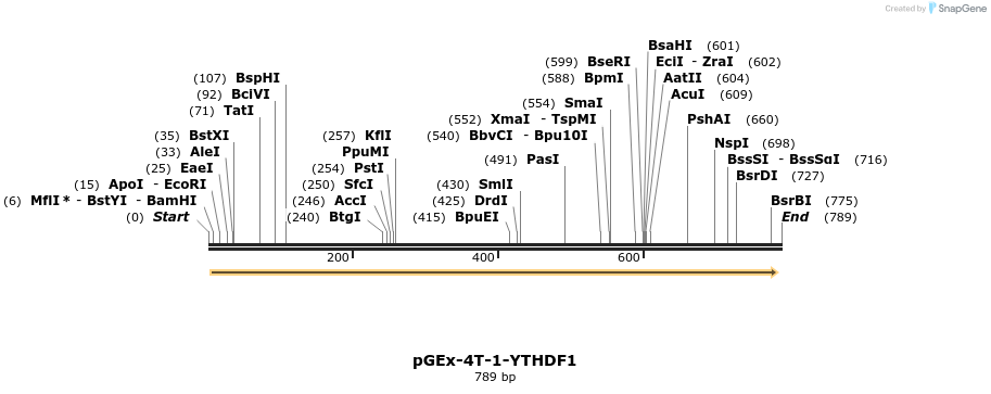 129706_map