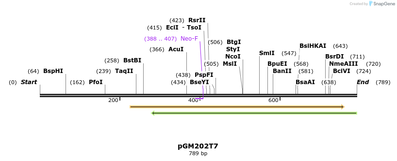 129708_map