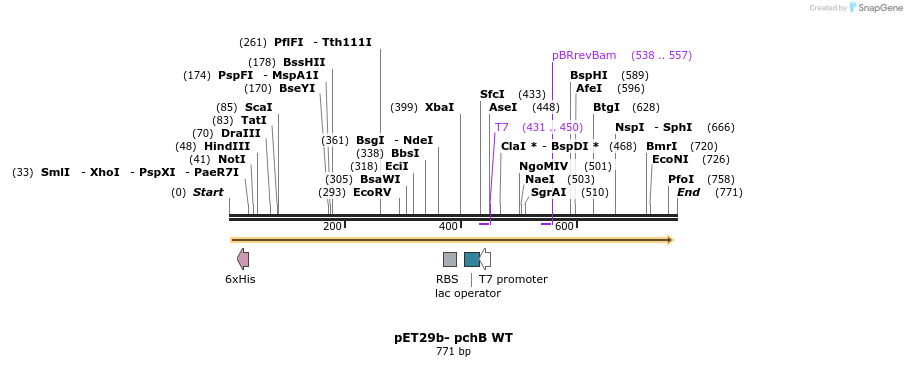 129709_map