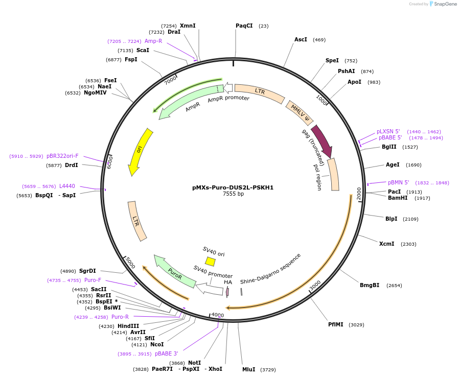129714_map