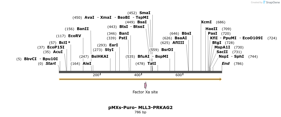 129716_map