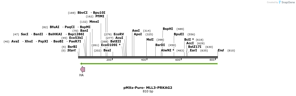 129717_map