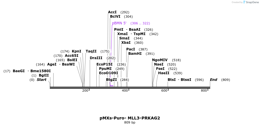 129718_map