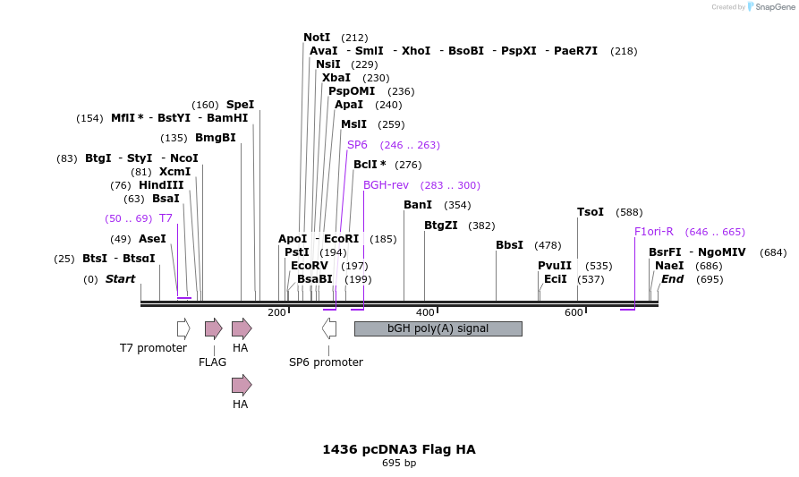 129722_map