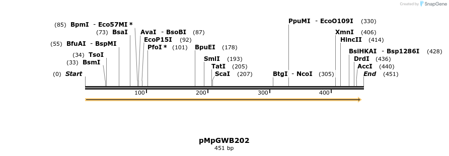 129728_map
