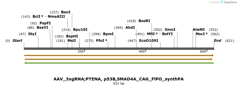129738_map