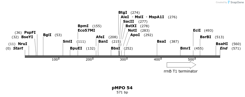 129743_map