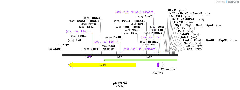 129745_map