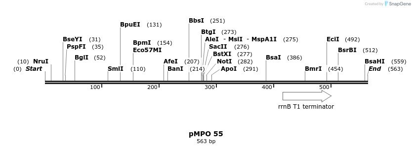 129747_map