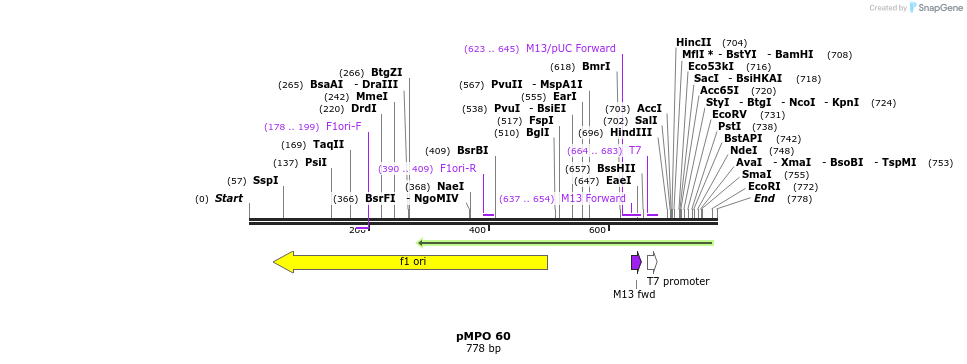 129748_map