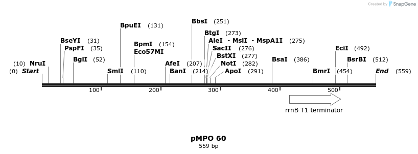129750_map