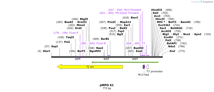 129751_map