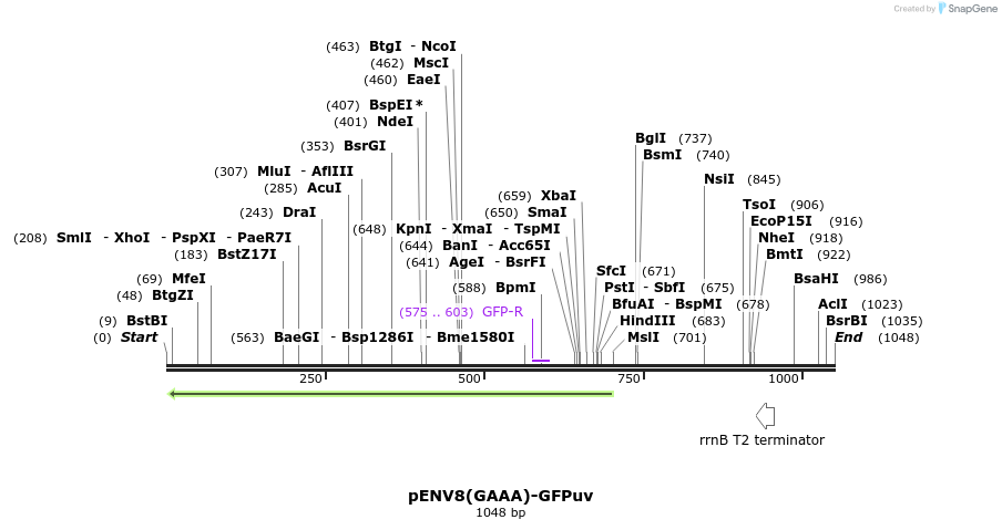 129753_map
