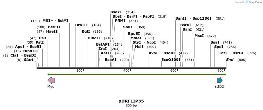 129754_map