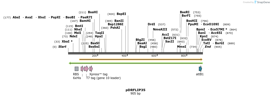 129755_map