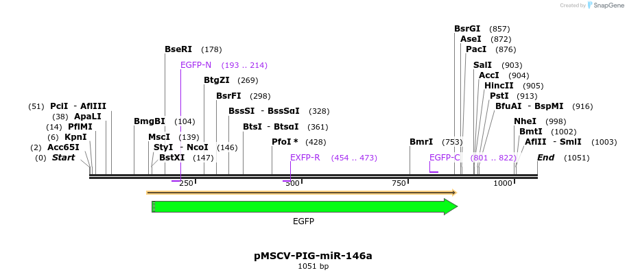 129757_map
