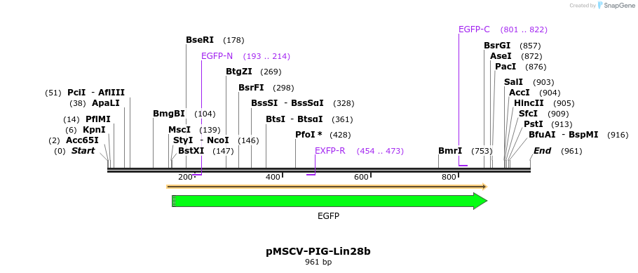 129762_map