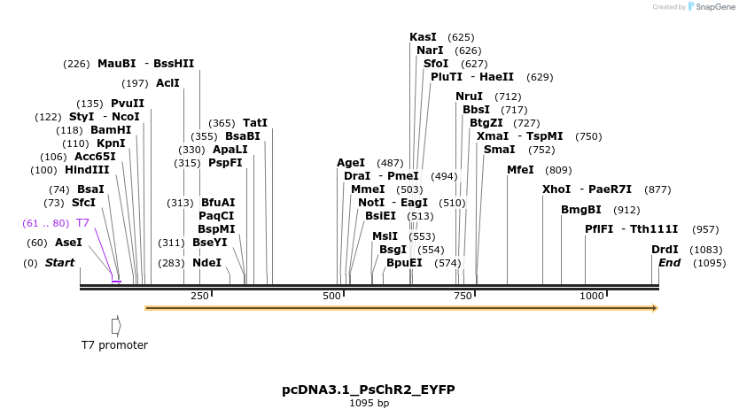 129766_map
