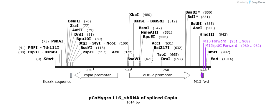 129770_map