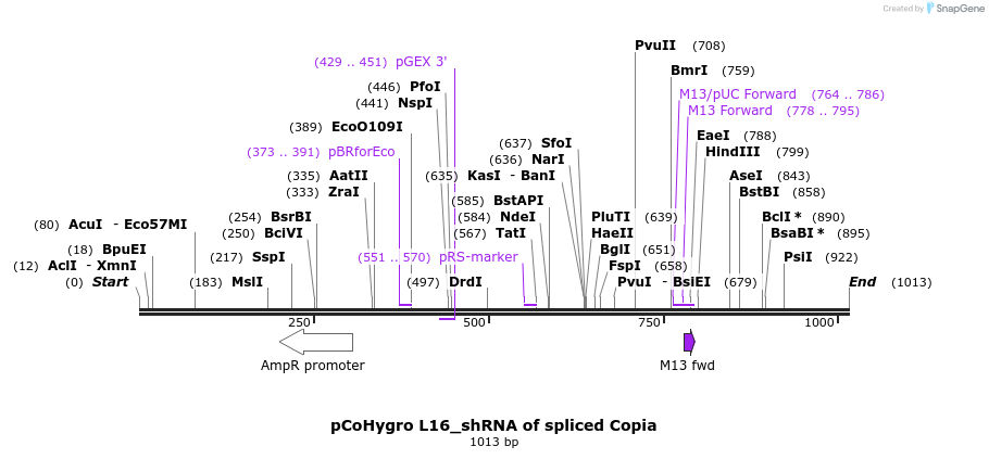129771_map