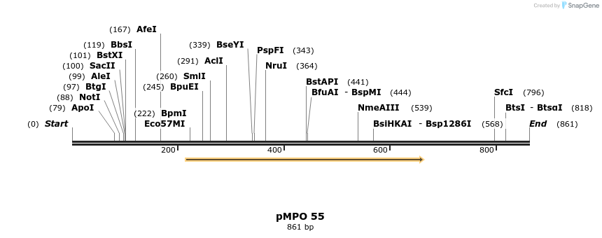 129777_map