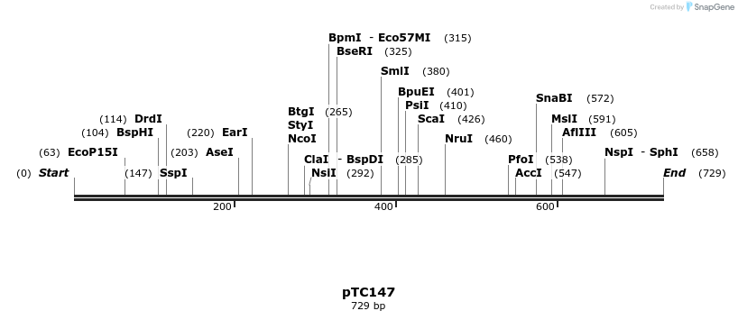 129782_map