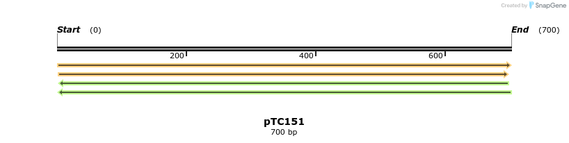 129785_map
