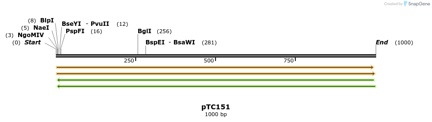 129786_map