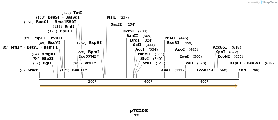 129789_map